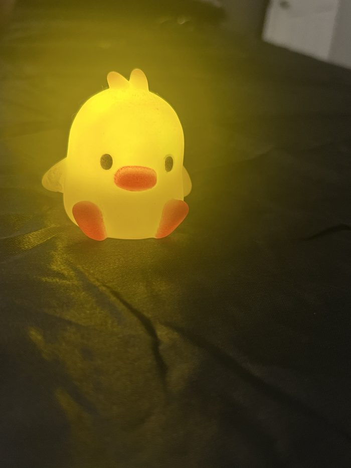 Baby Duck Toy - Image 2