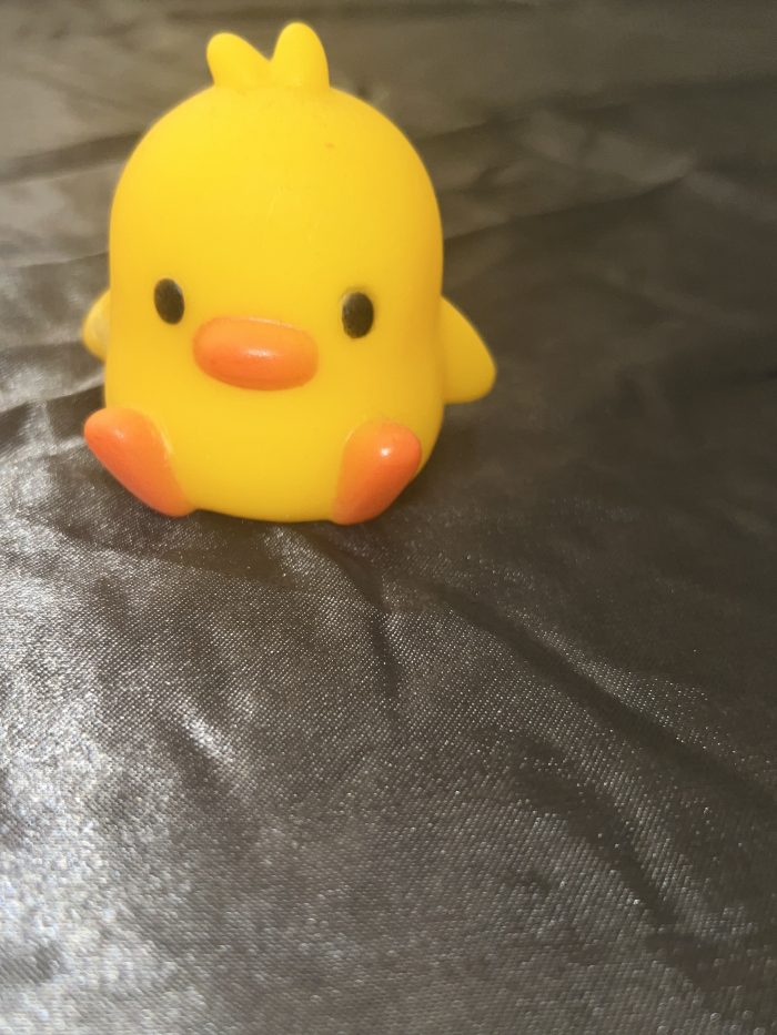 Baby Duck Toy